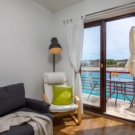 Zrinka - Last Season Ever! *