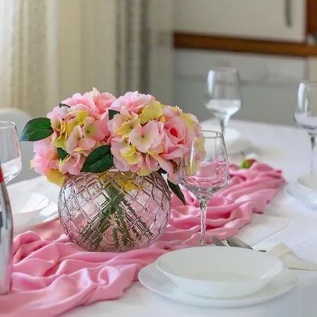 Zrinka - Last Season Ever! *