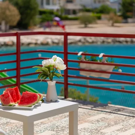 Zrinka - Last Season Ever! * 로고즈니차