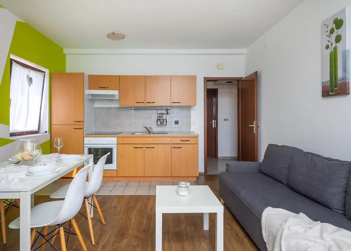 Daire Zrinka - Last Season Ever!