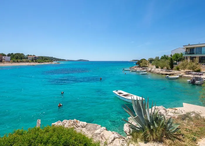 Zrinka - Last Season Ever! *